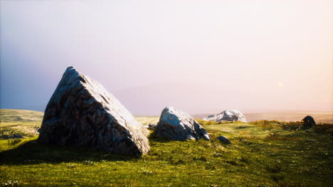 alpine-meadow-with-rocks-and-green-grass